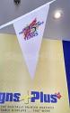 These custom bunting pennants are great for adding visual interest to indoor applications like trade show exhibits, conferences, retail promotions and corporate functions
